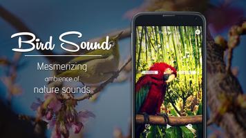 Bird Sound ~ Nature Sound HD تصوير الشاشة 1
