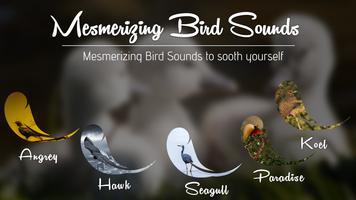 Bird Sound ~ Nature Sound HD capture d'écran 2