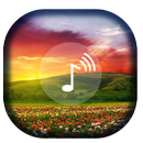 Calm Sounds-Meditation Sleep APK