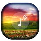 Calm Sounds-Meditation Sleep simgesi