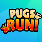 Pugs Run 图标