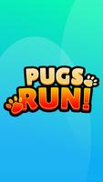 Pugs Run 海报