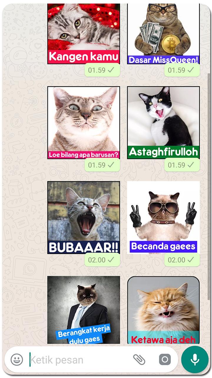 Meme Kucing Lucu Stiker Wa For Android Apk Download