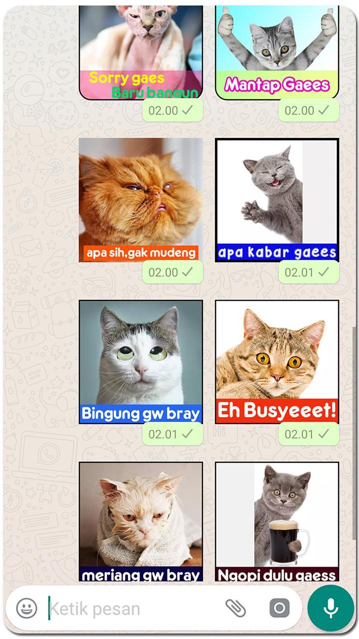 Meme Kucing Lucu Stiker Wa For Android Apk Download