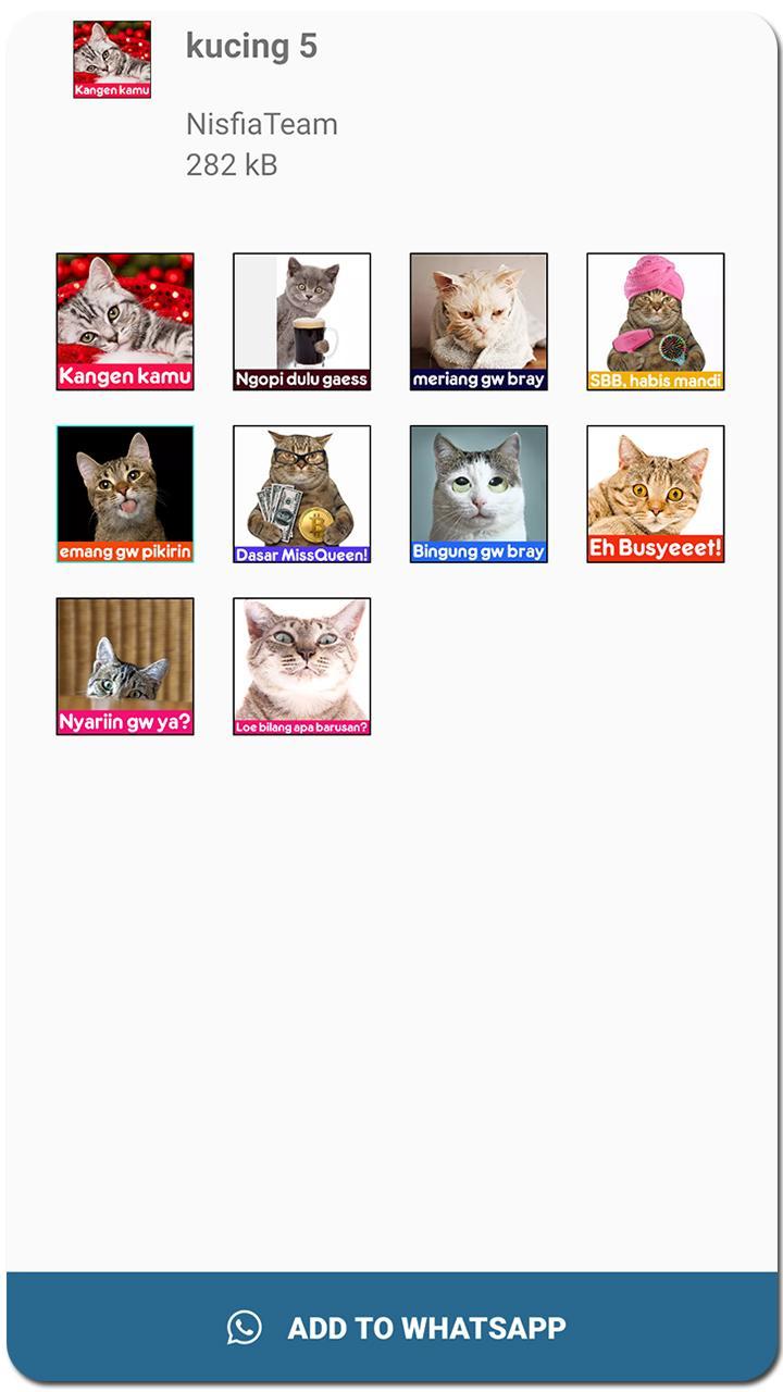 Meme Kucing Lucu Stiker Wa For Android Apk Download