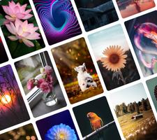 Auto Wallpapers: 4K Wallpapers Affiche