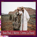 Contra La Pared - Sean Paul, J Balvin APK