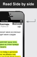 Russian Bible (Библия) Ekran Görüntüsü 3