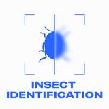 Bug ID: Insect Identifier AI