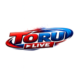 Toru - Voice Chat APK