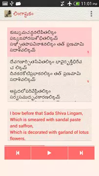 Screenshot 5 for Lingashtakam