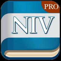 Niv Audio Bible (Pro) poster