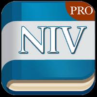 NIV audio Biblii bezpłatny plakat