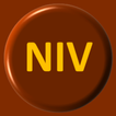 NIV Bible