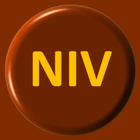 NIV Bible ikon