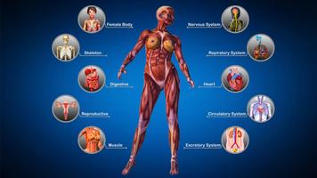 Female Anatomy : Woman Body Visualizer स्क्रीनशॉट 1