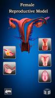 Female Anatomy : Woman Body Visualizer capture d'écran 2