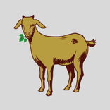 Goat Farming App