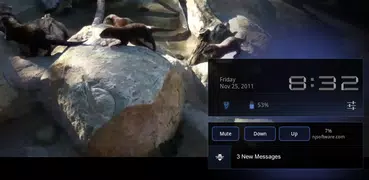 Volume in Notification