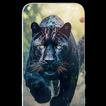 HD wallpapers app 2