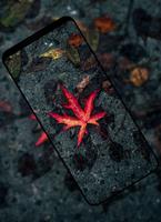 HD Wallpaper App Screenshot 2