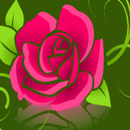 Moroccan flower APK