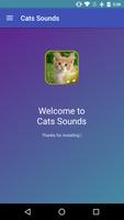 Cat Sounds الملصق