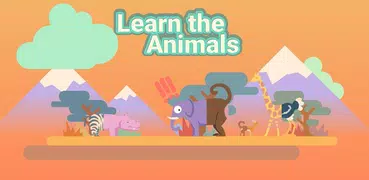 Animal Games for kids!