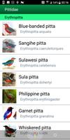 Birds of the Southeastern Asia (I) スクリーンショット 2