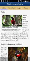 Birds of the Southeastern Asia (I) スクリーンショット 3