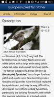 Birds of the Southern Europe captura de pantalla 3