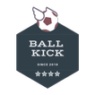 Ball Kick