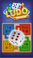 Ludo Winner постер