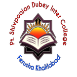 New Man's public School