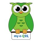 my e-QSS icône