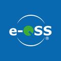 e-QSS