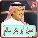 أغاني أصيل أبو بكر2019 بدون نت - aseel abu bakr APK