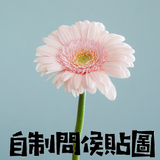 ikon 自制問候圖 - 早安,午安,晚安,問候圖,朋友,圖片,問候語, 新年，農歷新年，新年問候