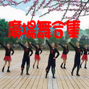 廣場舞合集-APK