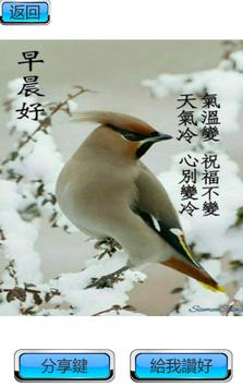 溫馨問候貼圖,早安,午安,晚安,問候圖,朋友,圖片,問候語, 新年，農歷新年，新年問候 截图 1