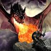 Dragon Hunting 2021 - Dragon H