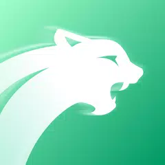 Baixar NoCard Lite - Security Proxy APK
