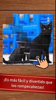 Fácil rompecabezas de gatos Poster