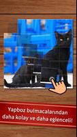 Kolay kedi bulmaca gönderen