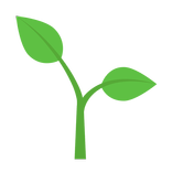 Мой цветок.