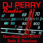 DJ Perry Radio 아이콘