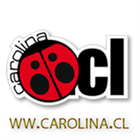 Radio Carolina 99.3 أيقونة