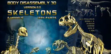 Body Disassembly 3D