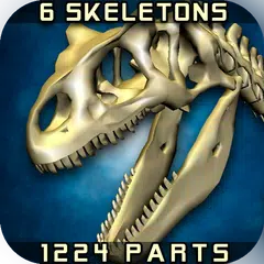 Body Disassembly 3D APK download