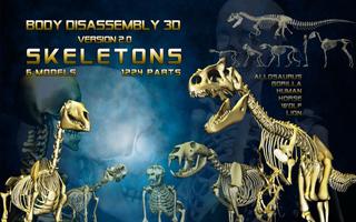Body Disassembly 3D Affiche